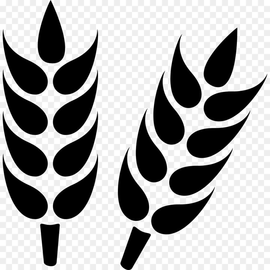 https://spkpavlodar.kz/wp-content/uploads/2020/05/kisspng-agriculture-computer-icons-farm-barley-5acce6f4362f59.052682071523377908222.jpg